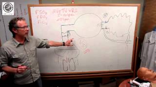 Oxygenation Understanding your BVM Device [upl. by Retsel677]