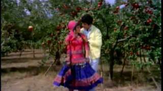 Ek Phool Do Mali  Ye Parda Hata Do with lyrics [upl. by Eninahpets220]