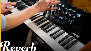 Korg Prologue Polyphonic Analogue Synthesizer  Reverb Demo Video [upl. by Annoyk]