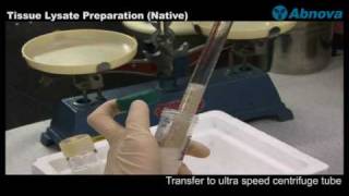 Tissue Lysate Preparation Native [upl. by Verne]