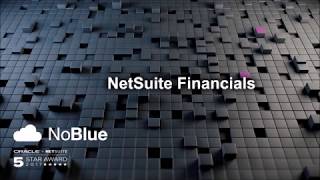 NetSuite Financials Demo [upl. by Aicatsal]