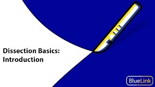 Dissection Basics  Introduction [upl. by Abekam]