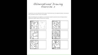 Observational Drawing Lesson [upl. by Ariaec]