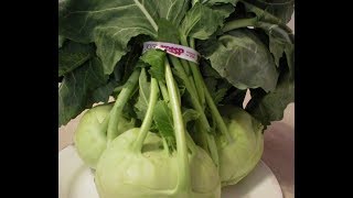 Kohlrabi 101  The Basics [upl. by Ahsikal]