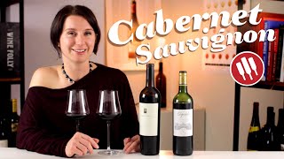 Explore The Styles of Cabernet Sauvignon  Wine Folly [upl. by Hazlett]