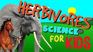 What is a Herbivore  Science for Kids [upl. by Oletta688]