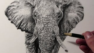 Cómo dibujar un Elefante [upl. by Hefter]