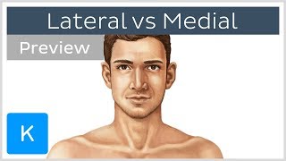 Whats the Difference Between Lateral and Medial preview  Human Anatomy  Kenhub [upl. by Pike]