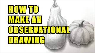 How To Make An Observational Drawing [upl. by Fasta]