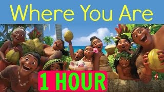 1 HOURLYRICS Where You Are Moana soundtrack Loop [upl. by Oninrutas]