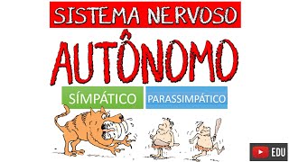 SISTEMA NERVOSO AUTÔNOMO Simpático e Parassimpático Video Aula  Neuroanatomia com Rogério Souza [upl. by Armillas882]