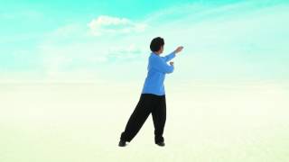 Perth Taichi Academy 18 Taiji Qigong [upl. by Ycats]