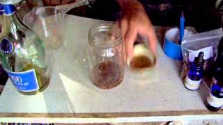 Making rhodiola rosea Golden Root tincture [upl. by Elisa]