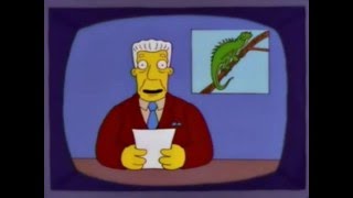 The simpsons and invasive species [upl. by Hoban]