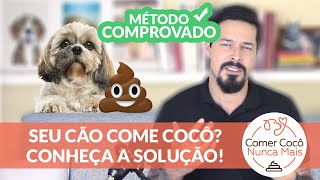 Cachorro comendo cocô Saiba o motivo e como resolver COMER COCÔ NUNCA MAIS [upl. by Ttenrag]