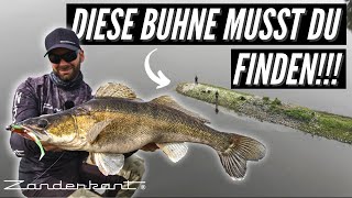 Zander angeln am Fluss  mit Gummifisch und Jigkopf die richtige Buhne finden [upl. by Ahseya]