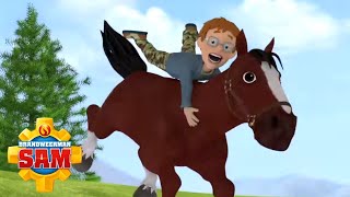 Brandweerman Sam  Wilde Paarden Rennen  Nieuwe Afleveringen  Kinderfilms [upl. by Isbella274]