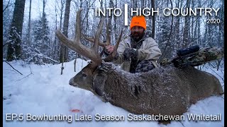 Bowhunting Late Season Saskatchewan Whitetail [upl. by Gusta]