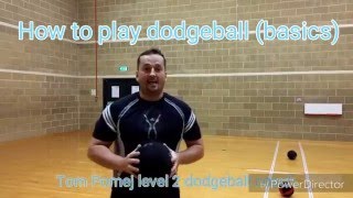 How to play Dodgeball Rules and basics [upl. by Hgiellek724]