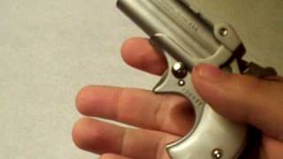 Gun Overview  Cobra 2 Shot Derringer 22LR [upl. by Mccafferty315]