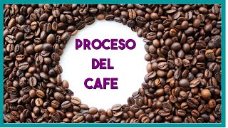 Proceso del cafe paso a paso [upl. by Ludwog877]