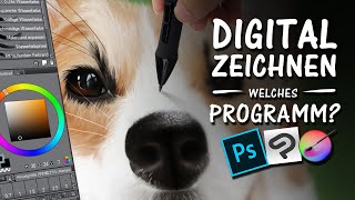 DIGITAL ZEICHNEN  Welches Programm ist für dich  Drawinglikeasir [upl. by Neom3]