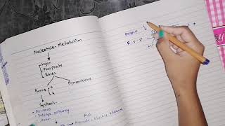 Purine Synthesis part 1 nucleotideMetabolism biochemistry [upl. by Catton]