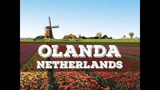 Top 10 cosa vedere in Olanda  Top 10 what to do in Netherlands [upl. by Nyroc]