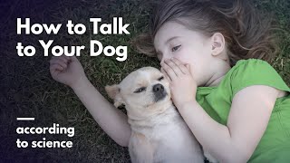 How to Talk to Your Dog According to Science [upl. by Aerdnod418]