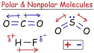 Polar and Nonpolar Molecules [upl. by Eeliab]