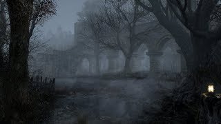 Haunted Forest Sounds  Ghostly Murmurs  1 Hour [upl. by Mallorie]