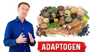 What are Adaptogens – Ashwagandha Explained by Dr Berg [upl. by Nosittam]