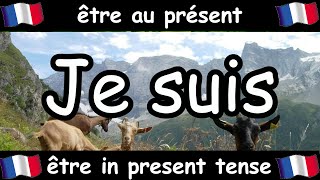 French Conjugation Song  Être  Celtic Music [upl. by Base918]