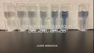 Total Phenolics by Folin Ciocalteu  Jaime Miranda [upl. by Asirap]