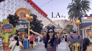 LA vlog [upl. by Nosnehpets]