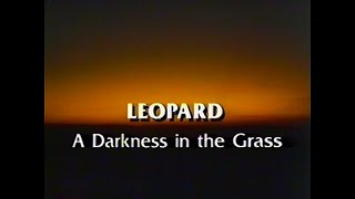 Leopard A Darkness in the Grass 1986 [upl. by Eilhsa]