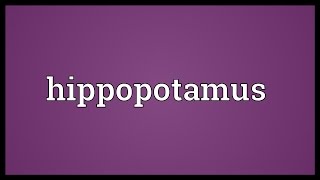 Hippopotamus Meaning [upl. by Dehnel]