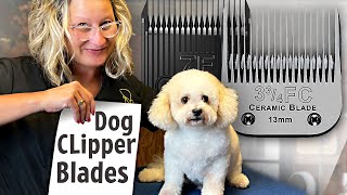 Dog Grooming Clipper BladesEverything You Need to Know [upl. by Euseibbob]