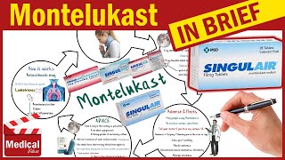 Montelukast 10 mg  Singulair  What is Montelukast Used For Dosage Side Effects amp Precautions [upl. by Meier]