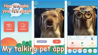 My talking Pet APP Tutorial amp Review [upl. by Anairuy379]