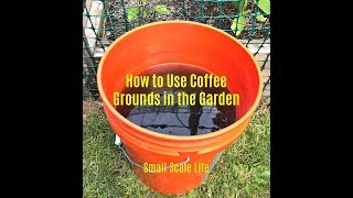 How to Use Coffee Grounds for Plants [upl. by Nithsa]