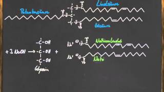 The Hydrogen Electrolyser [upl. by Llevron]