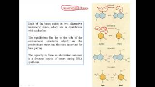 Tautomerization of bases [upl. by Brahear]