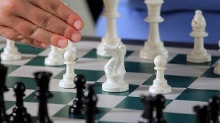 Basics of the Sicilian Defense  Chess [upl. by Haugen]