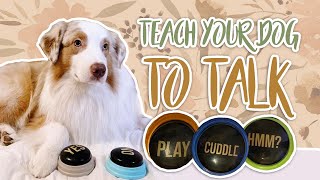 TEACH YOUR DOG TO TALK  Teaching your dog to use buttons [upl. by Ilke468]