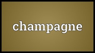 Champagne Meaning [upl. by Ahsille192]