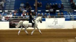 Dressage 3Scottsdale Arabian Horse Show2011 [upl. by Liatnahs550]