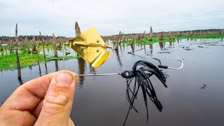 INSANE Topwater Eats Fishing Drained Lake  Rodman Reservoir Day 2 [upl. by Mallina]