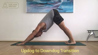 Updog To Downdog Transition The Drag and Flip [upl. by Freddi]