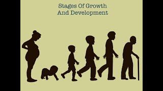 Stages Of Human Growth And Development [upl. by Eissej668]